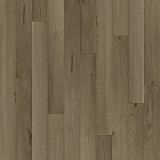 The Strata CollectionUmber
